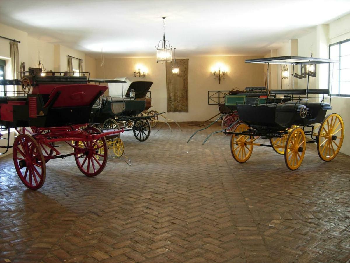 Hacienda Chambergo Casa En La Campina Sevillana Écija Extérieur photo